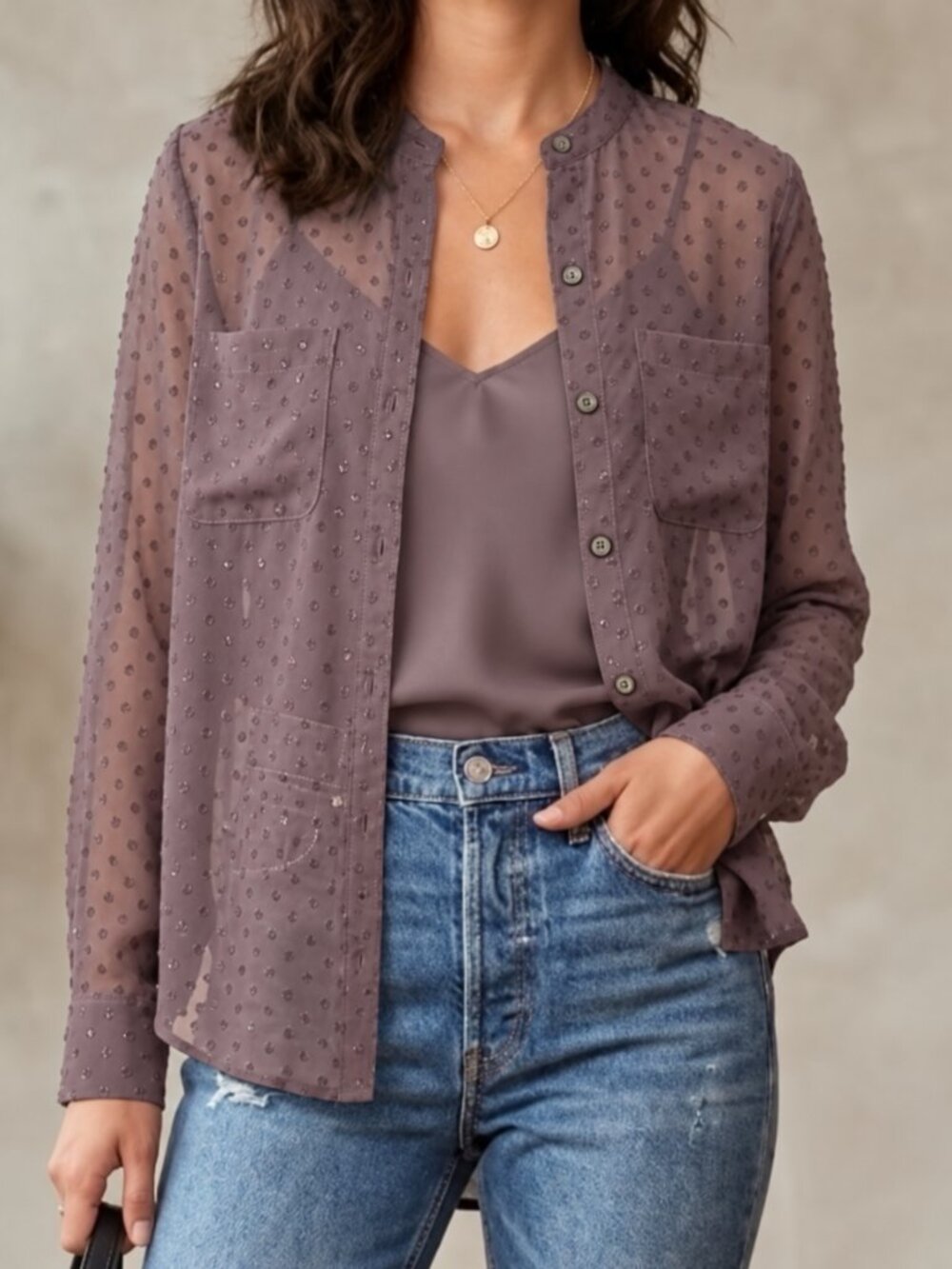 Abercrombie & Fitch Mauve Textured Dot Sheer Button Down Blouse - Size M